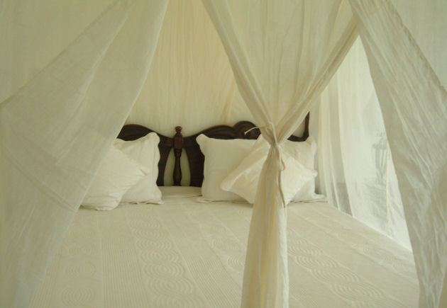 Master Bed with Cotton Canopy