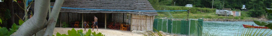 Island Village ten minutes from ocho rios villa