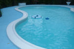 Freshwater Pool in Jamaica