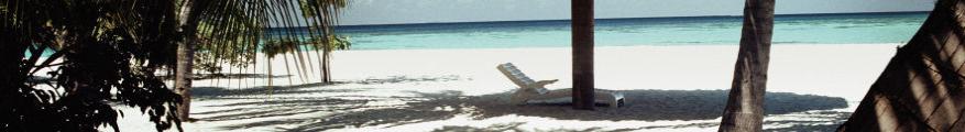 Jamaica villa beach in ocho rios